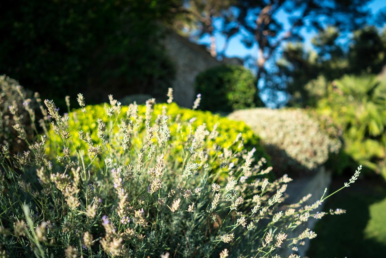 Bed and Breakfast Domaine De Saint Clair Aix-en-Provence Exteriér fotografie
